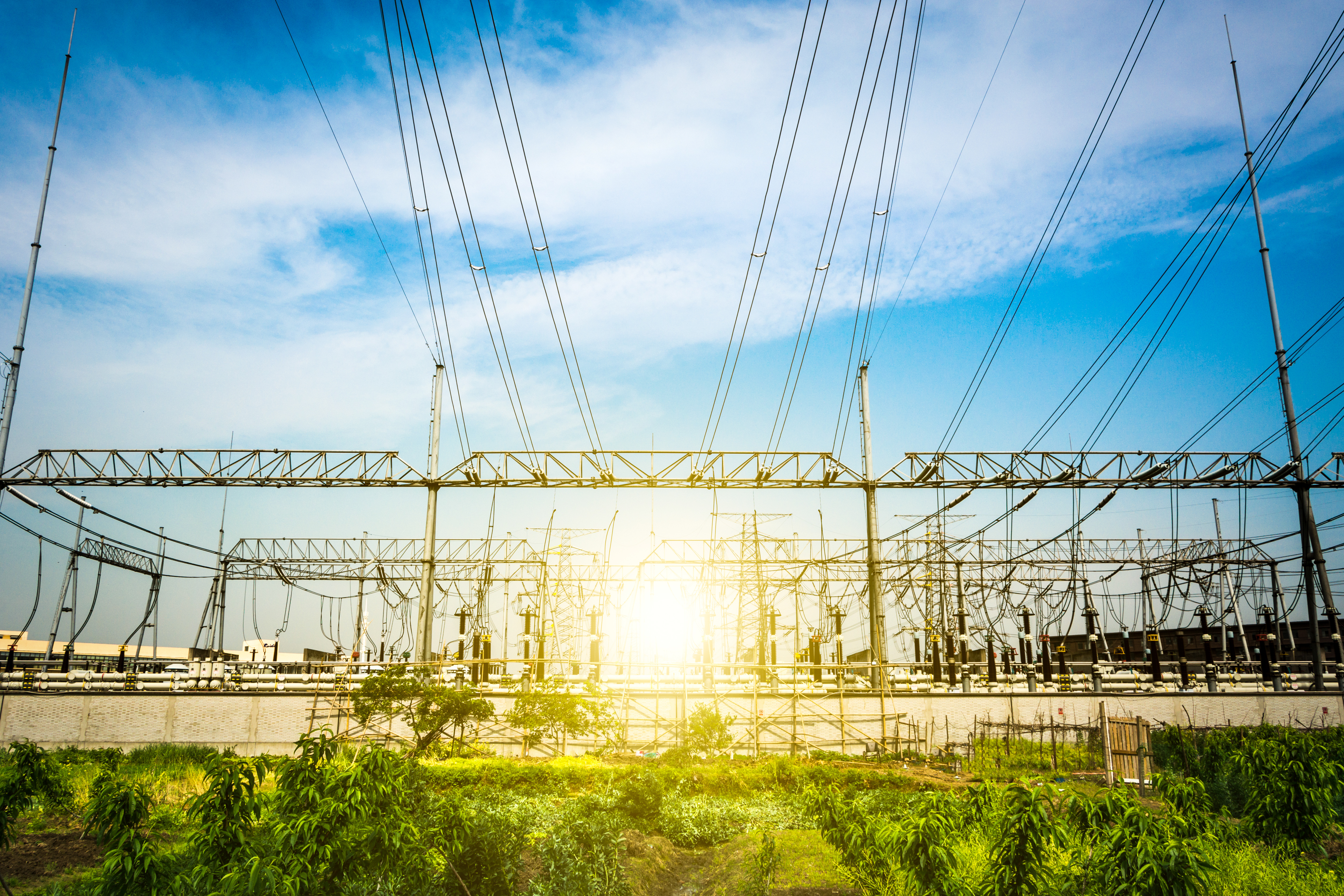 Torrent Power LTD